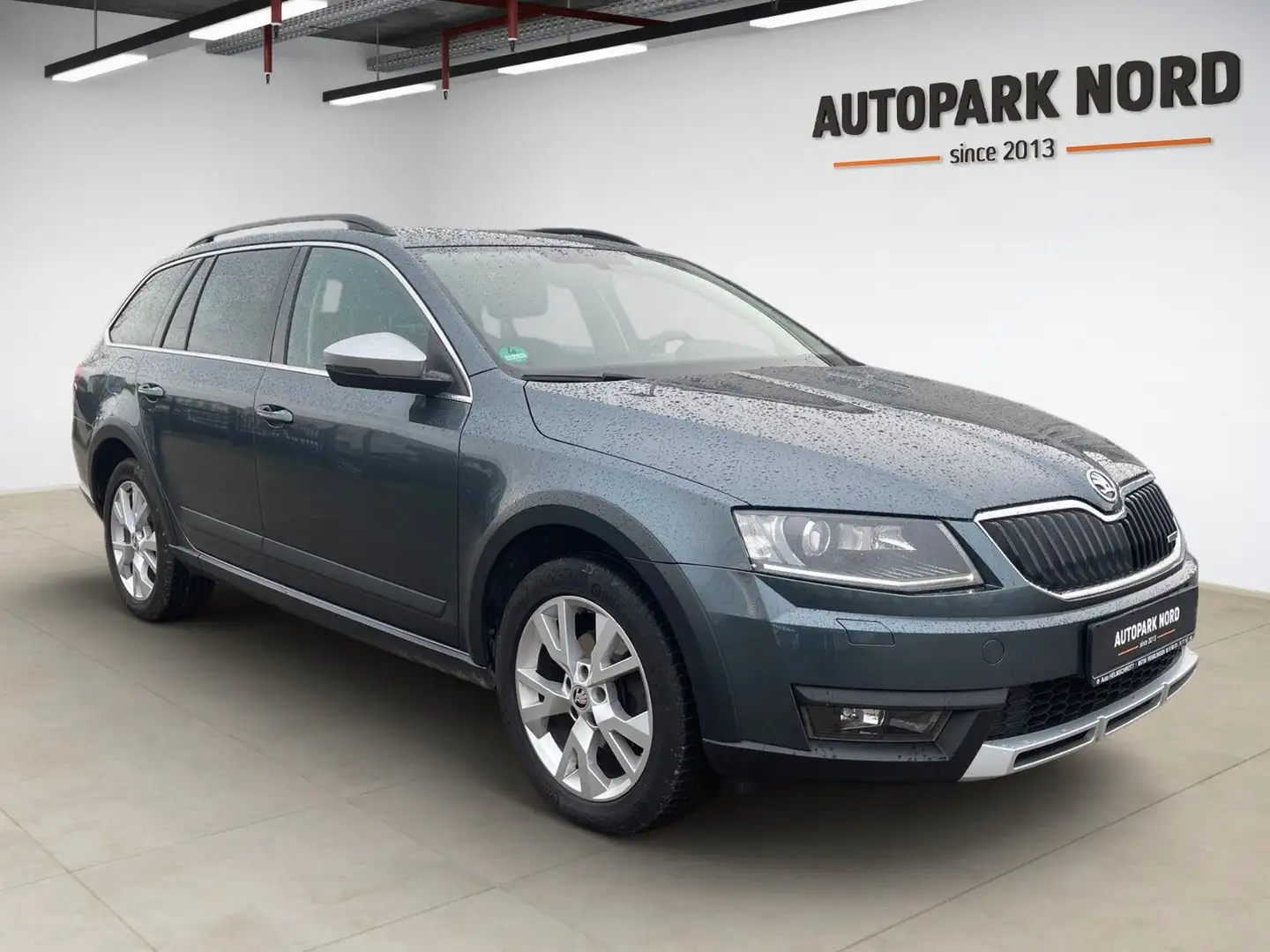 Skoda Octavia 2.0 TDI Combi Scout 4x4/AHK/SHZ/BI-XENON Grau - 2