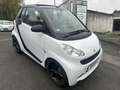 smart forTwo smart fortwo cabrio  Servo/Klimaanlage/Tüv Neu Weiß - thumbnail 3