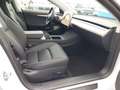 Tesla Model 3 Standard Range Plus RWD Leder Soundsystem ACC El. Weiß - thumbnail 13