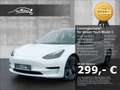 Tesla Model 3 Standard Range Plus RWD Leder Soundsystem ACC El. Weiß - thumbnail 1