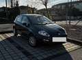 Fiat Punto 5p 1.2 Classic Active - thumbnail 2