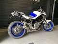 Suzuki Gladius 650 Blau - thumbnail 2