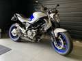 Suzuki Gladius 650 Blau - thumbnail 3