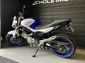 Suzuki Gladius 650 Blau - thumbnail 6
