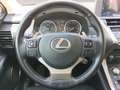 Lexus NX 300 300h Business 2WD Gris - thumbnail 7