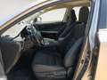 Lexus NX 300 300h Business 2WD Gris - thumbnail 8