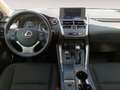 Lexus NX 300 300h Business 2WD Gris - thumbnail 6