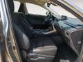 Lexus NX 300 300h Business 2WD Gris - thumbnail 10