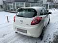 Ford Ka/Ka+ Trend,Klima,Alu,Winterreife,TÜV&AU neu Weiß - thumbnail 5