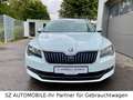 Skoda Superb 2.0 TDI Ambition,NAVI,ANDROID,ACC,SzHz Weiß - thumbnail 1