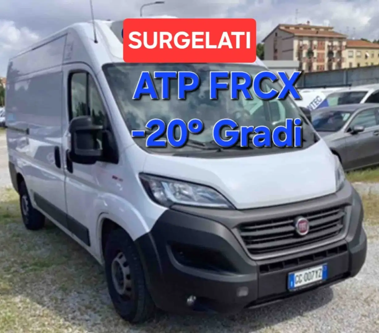 Fiat Ducato MAXI 2.3mjt 140cv L2H2 FRIGO FRC -20 GRADI Bianco - 1
