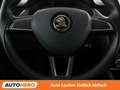 Skoda Octavia 1.6 TDI Ambition Grau - thumbnail 19