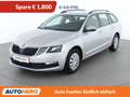 Skoda Octavia 1.6 TDI Ambition Grau - thumbnail 1