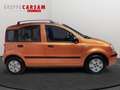Fiat Panda Panda 1.2 Dynamic Orange - thumbnail 3