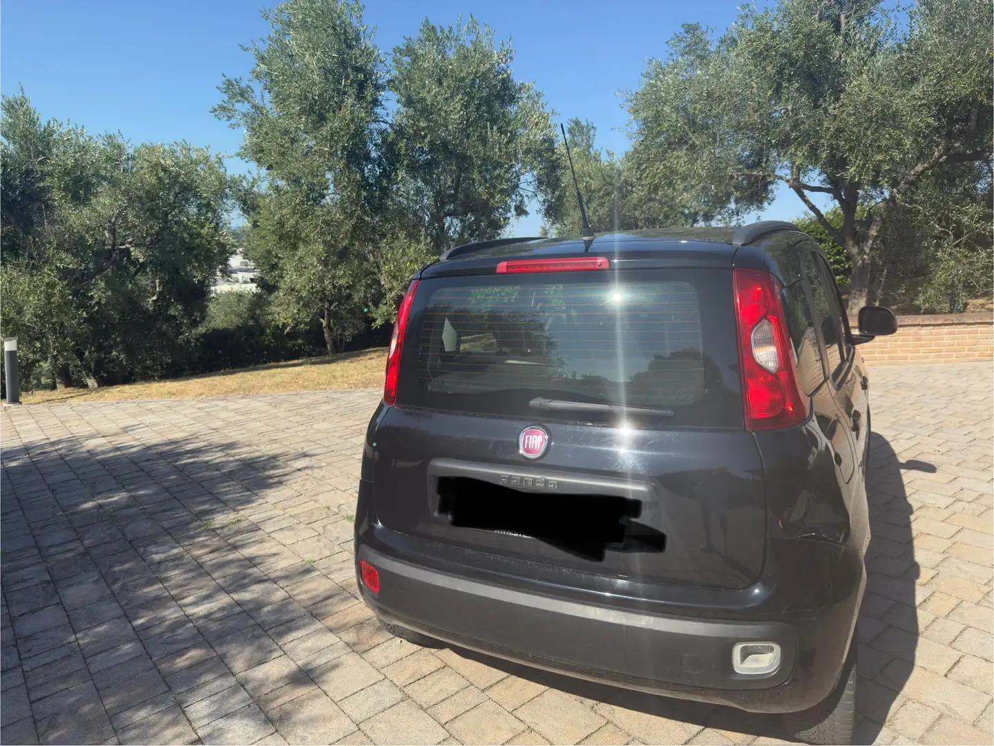 Fiat Panda 0.9 t.air turbo Easy 85cv - 2