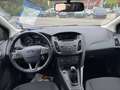 Ford Focus Trend Weiß - thumbnail 6