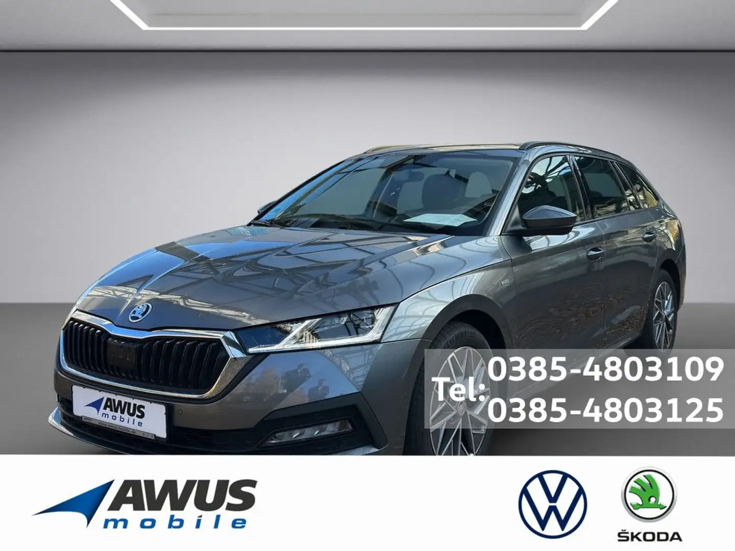 Skoda Octavia Combi 2.0TDI DSG Tour AHK Grau - 1