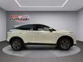 Nissan Qashqai Qashqai 1.3 mhev Acenta 2wd 140cv Bianco - thumbnail 6