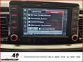 Kia Stonic Platinum Edition 1.0 T-GDI  Automatik+Allwetter+Sc Grau - thumbnail 9