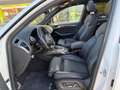 Audi SQ5 3.0TDI Plus quattro Tiptronic 340 Blanco - thumbnail 11
