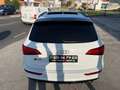 Audi SQ5 3.0TDI Plus quattro Tiptronic 340 Blanco - thumbnail 12