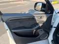 Audi SQ5 3.0TDI Plus quattro Tiptronic 340 Blanco - thumbnail 4