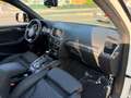 Audi SQ5 3.0TDI Plus quattro Tiptronic 340 Blanco - thumbnail 6