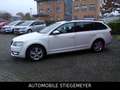 Skoda Octavia Combi Greenline Weiß - thumbnail 12