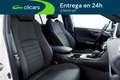 Toyota RAV 4 2.5 hybrid 4WD Advance Plus Blanco - thumbnail 16