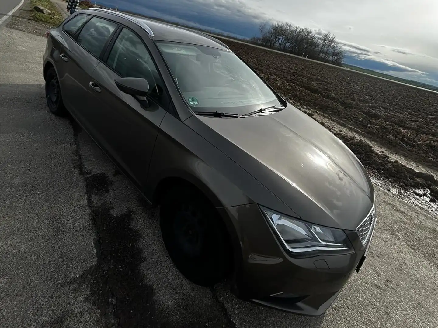 SEAT Leon Style Brown - 2