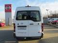 Nissan Interstar Interstar dCi 150 L2H2 3,5 dCi 150 FWD N-Connecta Weiß - thumbnail 3