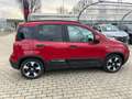 Fiat Panda Pandina Cross 1.0 firefly hybrid s&s 70cv Rouge - thumbnail 5