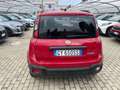 Fiat Panda Pandina Cross 1.0 firefly hybrid s&s 70cv Rouge - thumbnail 10
