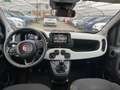 Fiat Panda Pandina Cross 1.0 firefly hybrid s&s 70cv Rouge - thumbnail 17