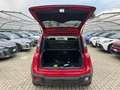 Fiat Panda Pandina Cross 1.0 firefly hybrid s&s 70cv Rouge - thumbnail 11