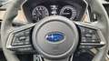 Subaru OUTBACK Outback Platinum 19 Zoll Bleu - thumbnail 17