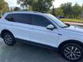 Volkswagen Tiguan Tiguan Allspace 2.0 tdi Business 150cv dsg Bianco - thumbnail 3