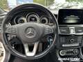 Mercedes-Benz CLS 350 CLS 350 d 4MATIC SB AMG Night Distronic 360 Grad Blanc - thumbnail 12