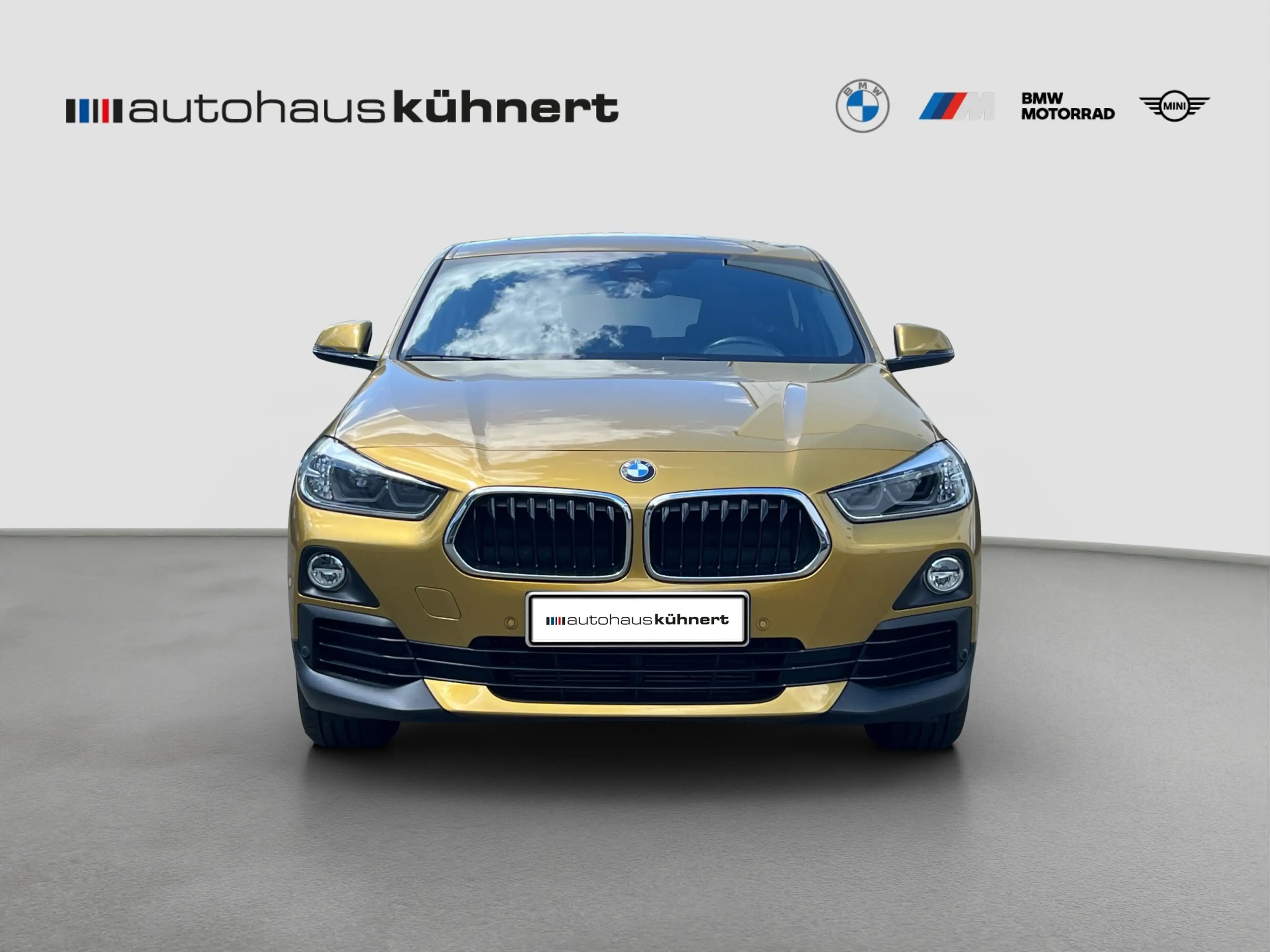 BMW X2 xDrive20i Advantage LED Pano DrvAss Navi RFK — photo 3