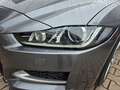 Jaguar XE R-Sport/Navi/Pano/SHZ Gri - thumbnail 5