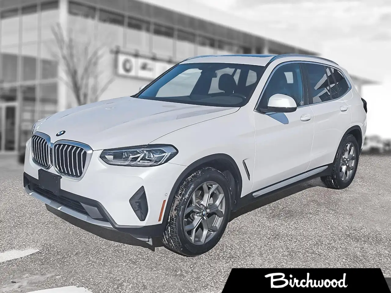 2023 BMW X3