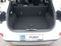 Ford Puma TITANIUM 125 PS EcoBoost/Benzin Mild-Hybrid (SO... Weiß - thumbnail 9