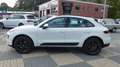 Porsche Macan 2.0 Panorama Navi Leder Weiß - thumbnail 2