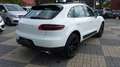 Porsche Macan 2.0 Panorama Navi Leder Weiß - thumbnail 5