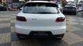 Porsche Macan 2.0 Panorama Navi Leder Weiß - thumbnail 4