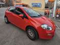 Fiat Punto FIAT Punto 1.2 8v Pop 69 CV SS Gasolina 5p. Piros - thumbnail 1