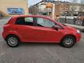 Fiat Punto FIAT Punto 1.2 8v Pop 69 CV SS Gasolina 5p. Červená - thumbnail 7