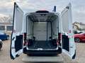 Ford Transit Kasten 350 L2H2 Aut Trend ACC|KAM|Winter Blanc - thumbnail 21