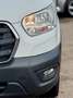 Ford Transit Kasten 350 L2H2 Aut Trend ACC|KAM|Winter Blanc - thumbnail 4