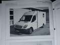 Mercedes-Benz Sprinter Sprinter 316 CDI HD 3,5t / 3.665 mm Weiß - thumbnail 3